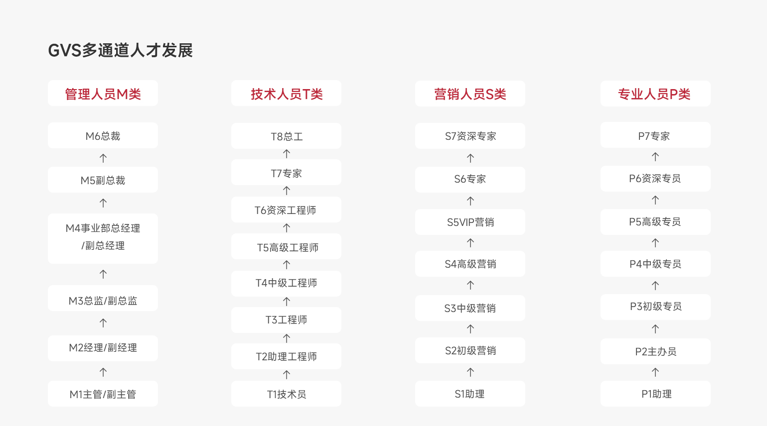 职业发展多通路